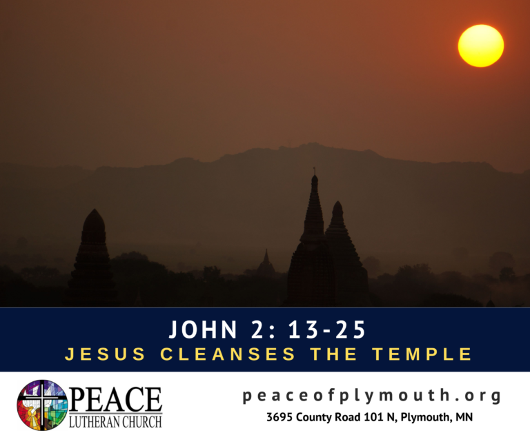 John 2: 13-25
